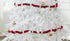 Hand Felted Wool Christmas Garland - Red, Maroon, and Cream Balls - 6' - ARCADIA HOME